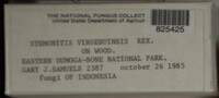 Image Associated With the Occurence